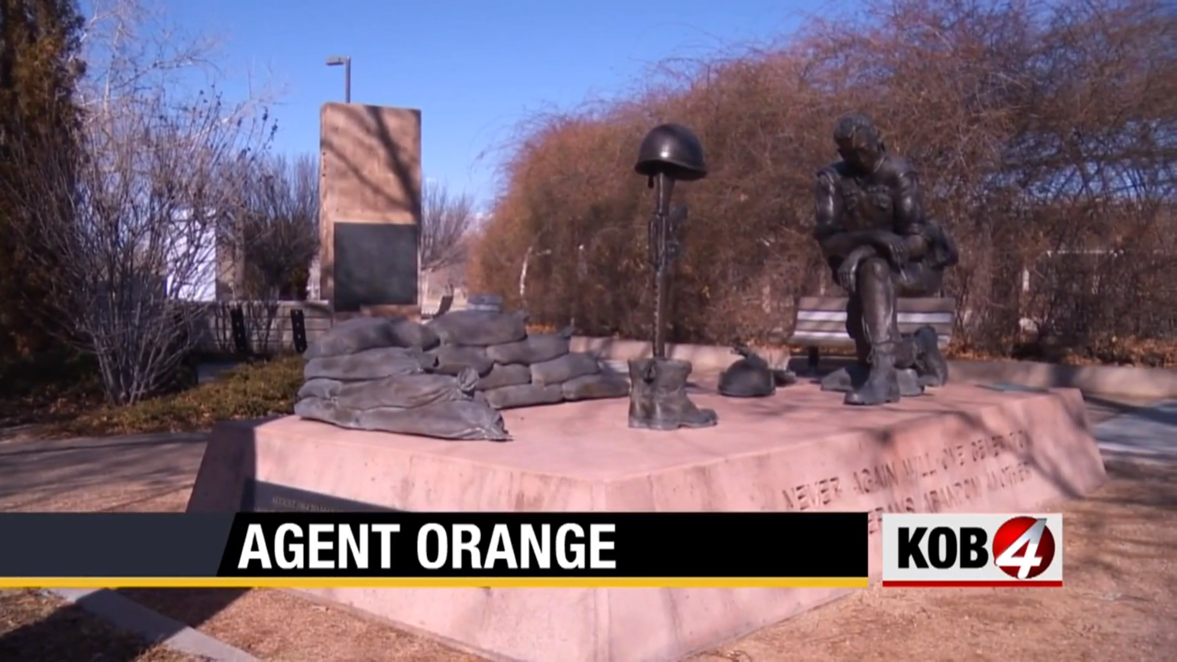 Veterans affected by Agent Orange push for expansion of linked diseases