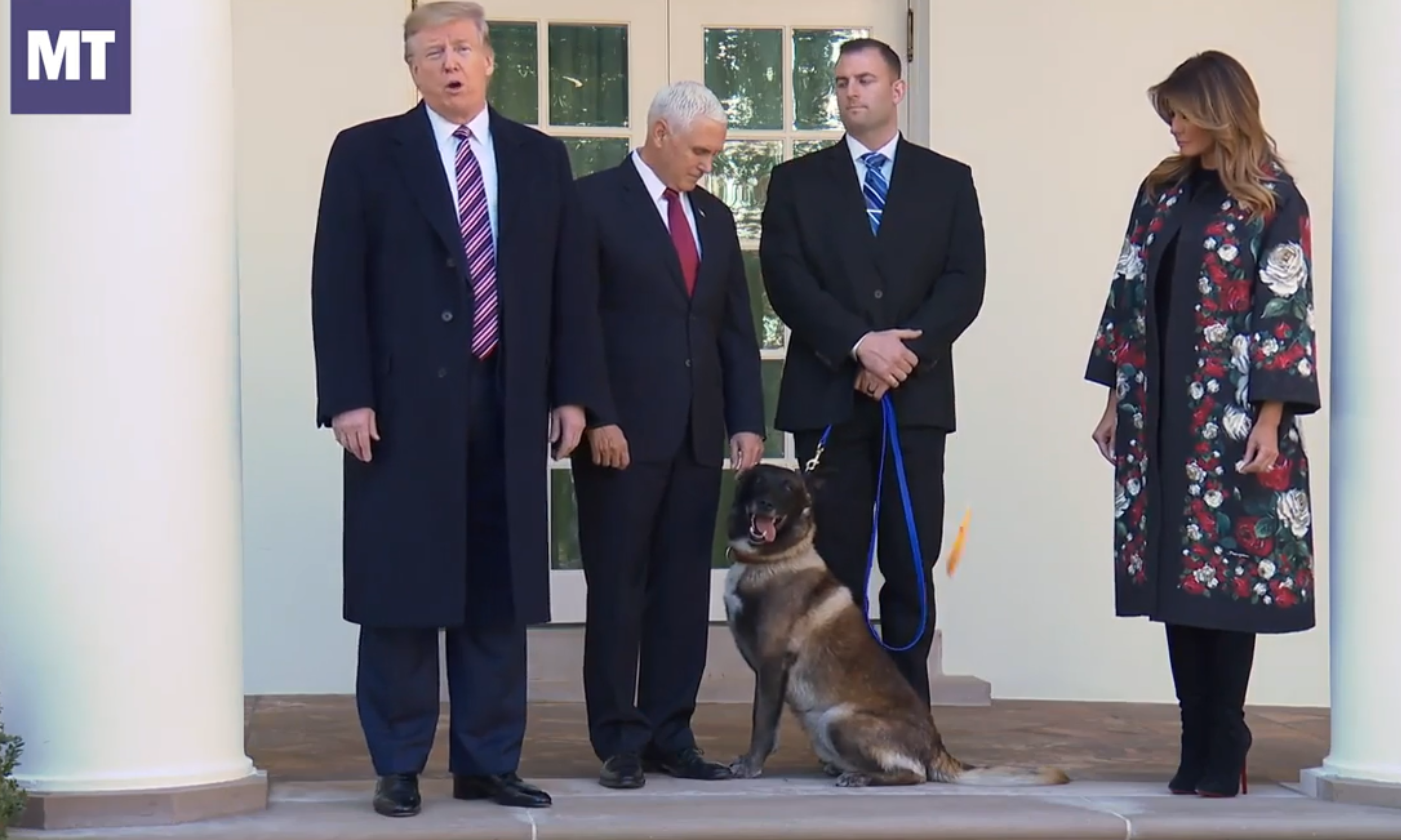 Trump honors dog who cornered Islamic State leader for National K-9 Veterans Day