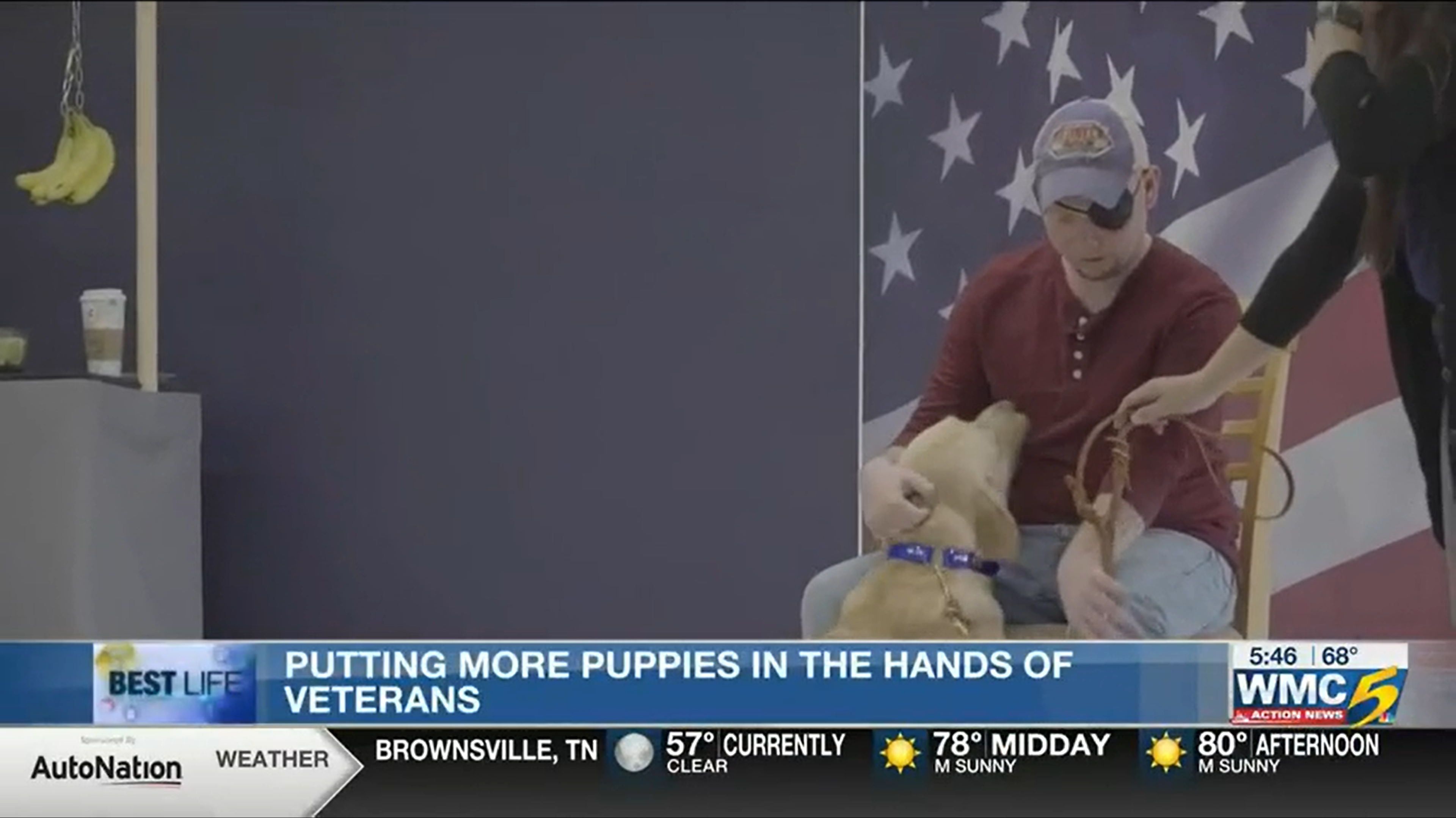 This new puppy-training strategy hopes to increase the veteran service dog graduation rate